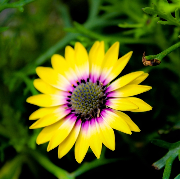 Wall Decor - Picture 9 of 16